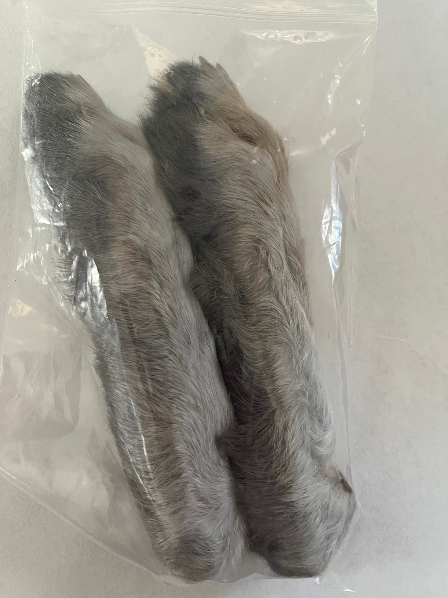 Rabbit’s Feet