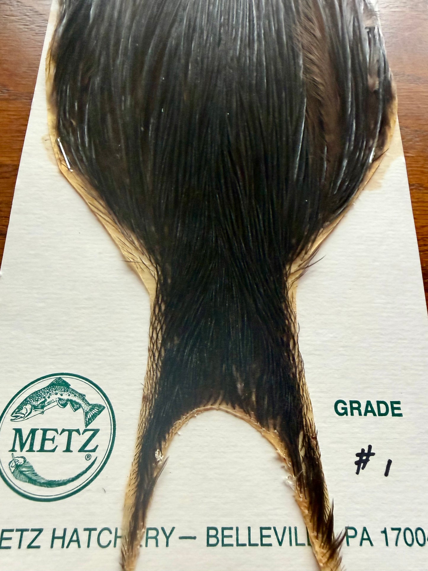 Metz Grade #1 Cape Black 415-SH-E-L