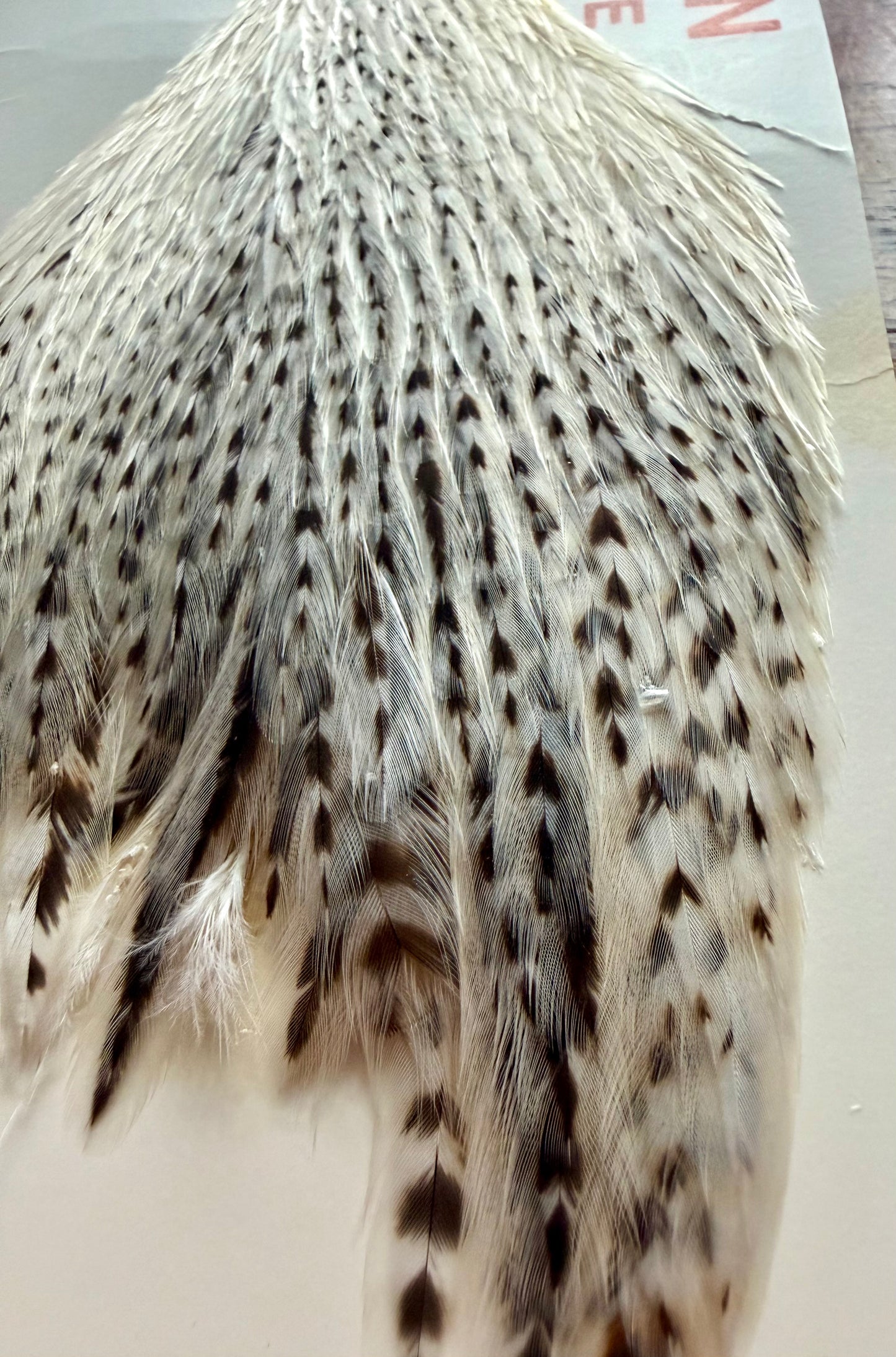 Hoffman Grade 2 Hen Cape Unique Variant 542-SH-E-L