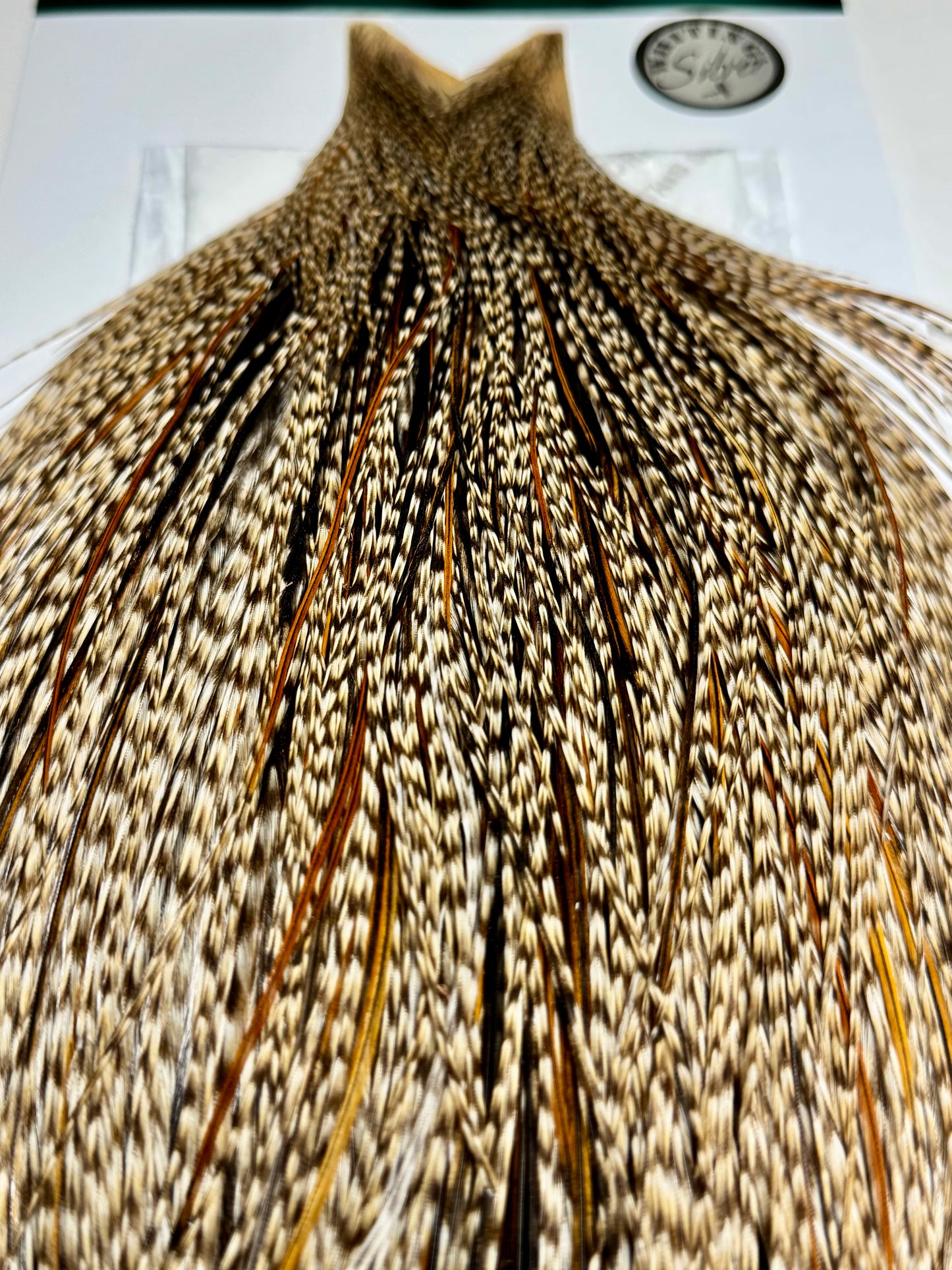 Whiting Farms SILVER Cape: Dun Grizzly- Hint of Dun Cree