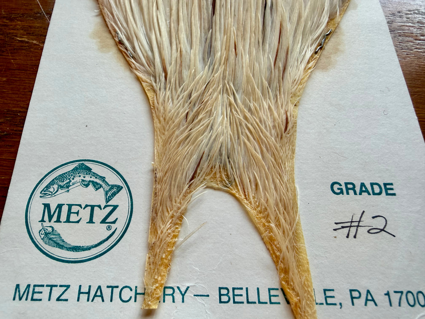 Metz Grade # 2 Cape White Splashed 550-SH-E-L
