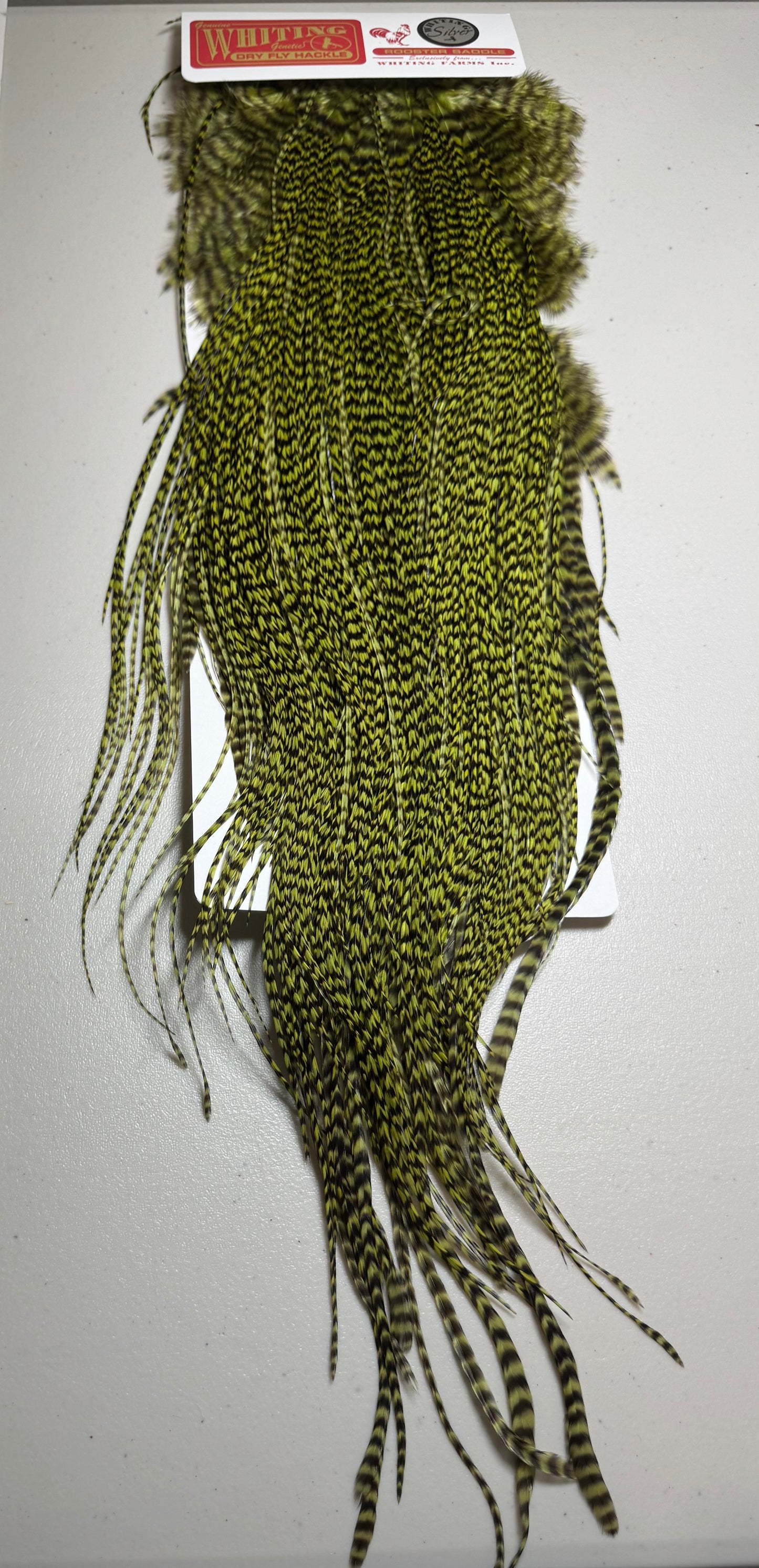 Whiting Farms SILVER Grade Saddle Hackle: GRIZZLY DYED OLIVE 091