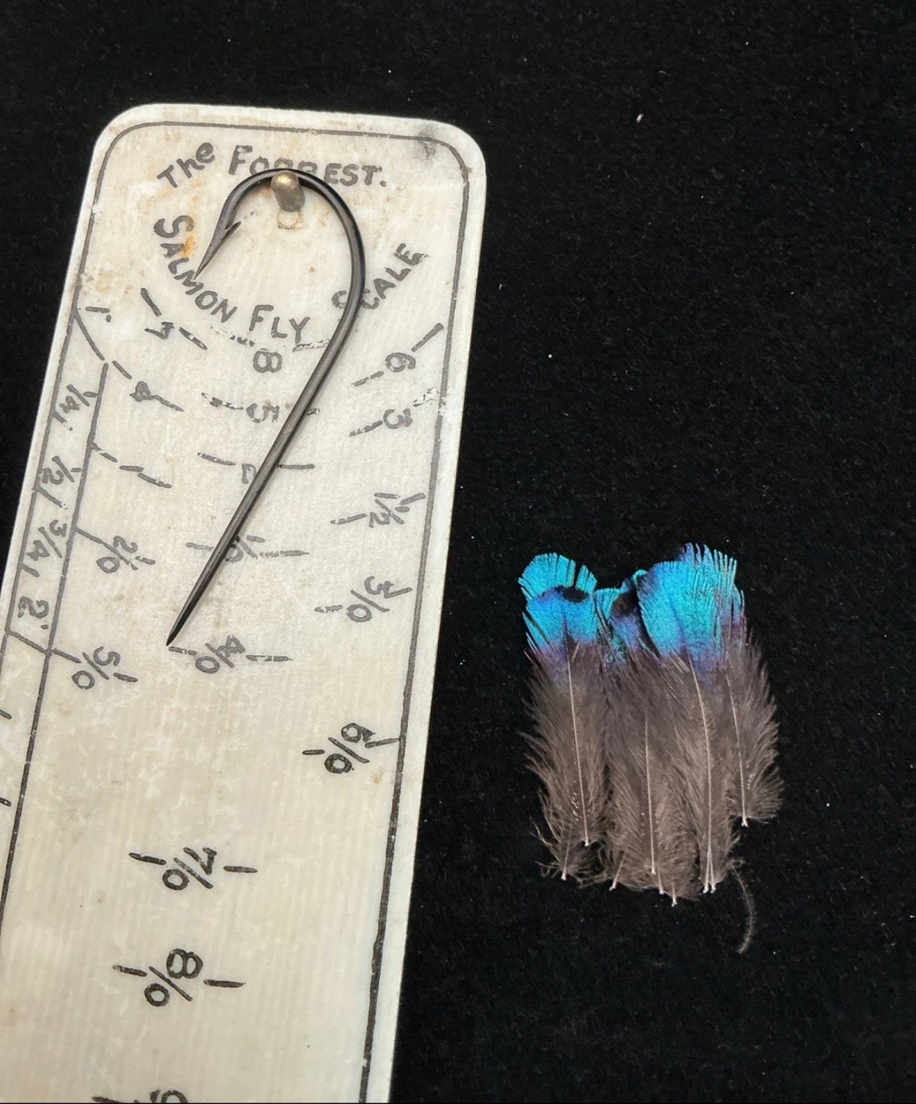 Vintage Rifle Bird of Paradise (10 Feathers)