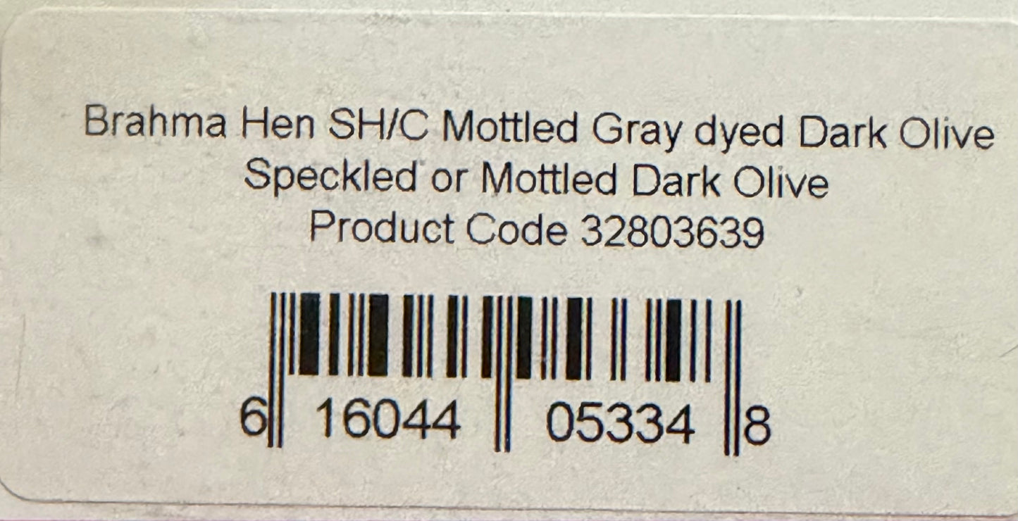 Whiting Farms Soft Hackle Brahma Hen Chickabou Pelt Mottled Gray dyed Dark Olive Speckled 211-SH-E-L