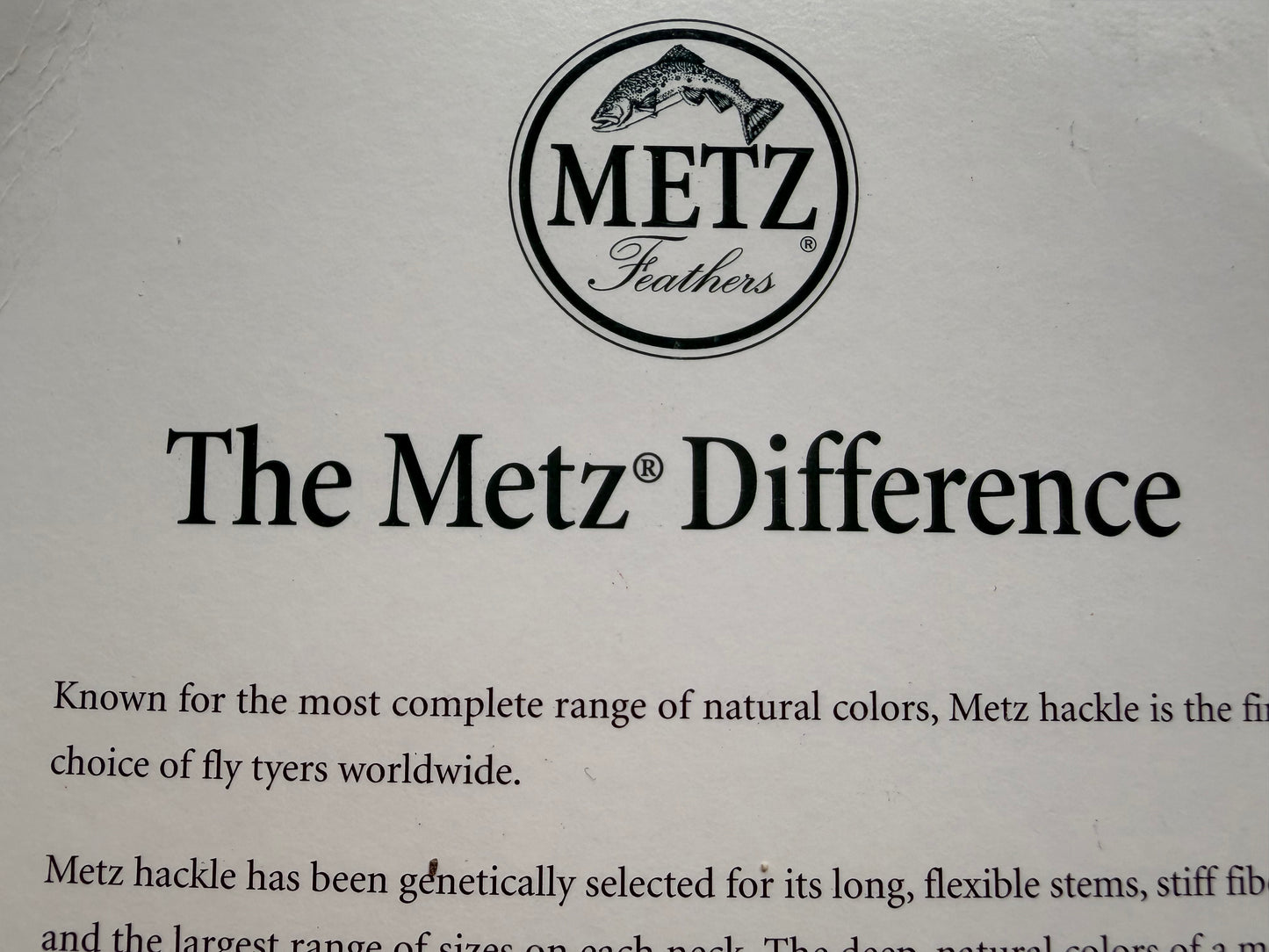 Metz #2 Saddle, Cream 487-SH-E-L