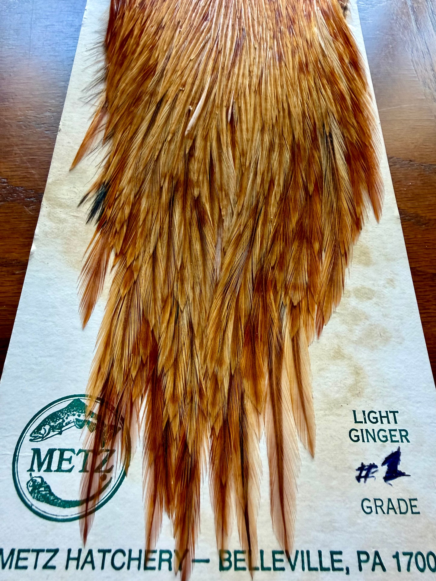 Metz Cape Grade #2 Light Ginger 417-SH-E-L