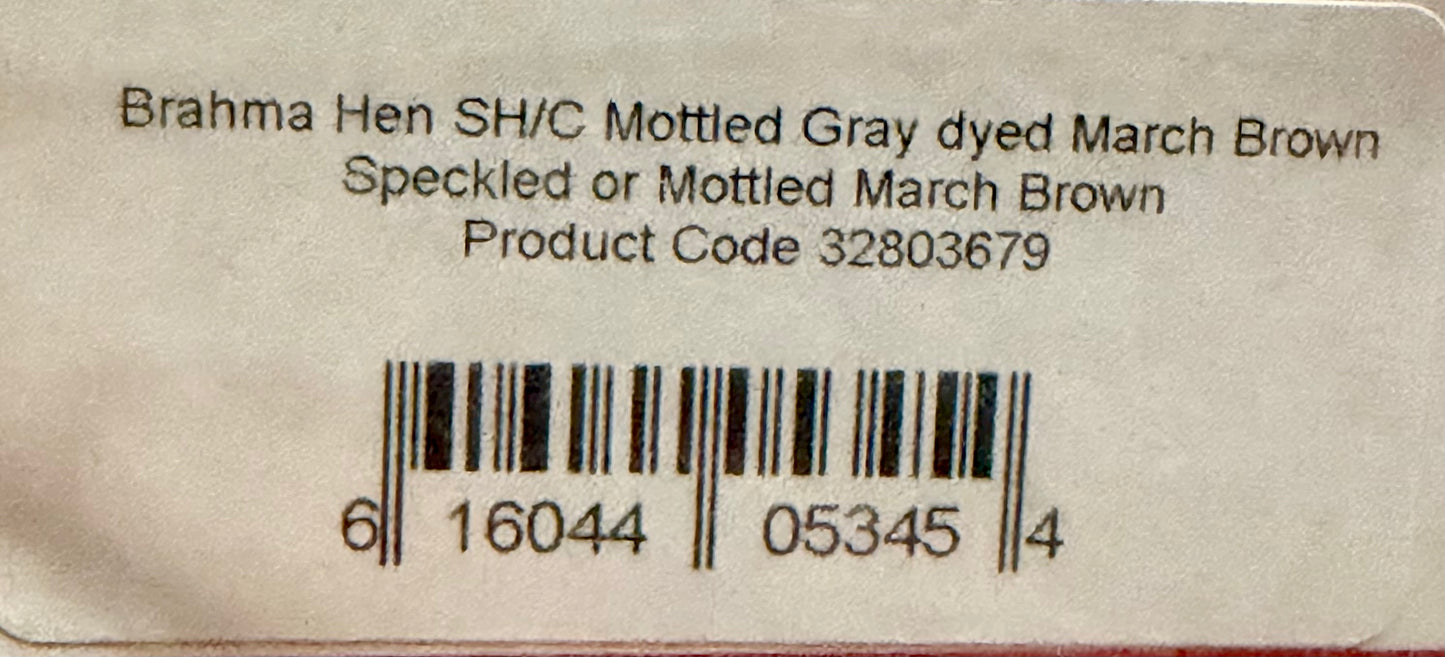 Whiting Farms Soft Hackle Brahma Hen Chickabou Pelt Mottled Gray dyed March Brown 207-SH-E-L