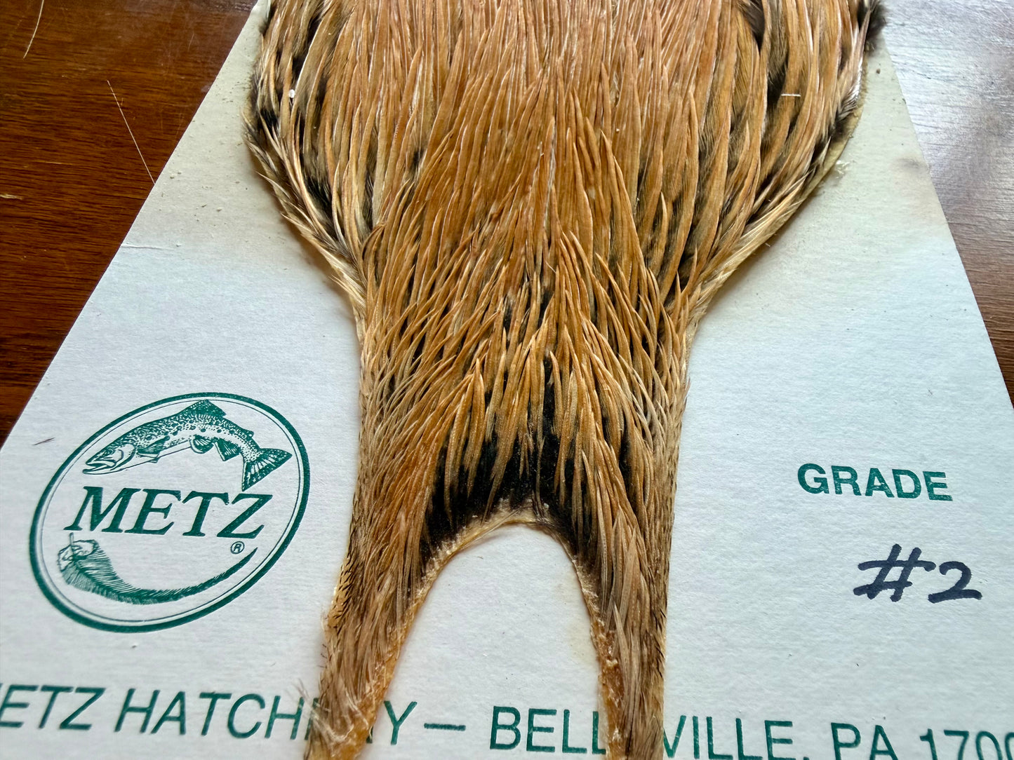 Metz Grade #2 Cape Light Ginger 536-SH-E-L