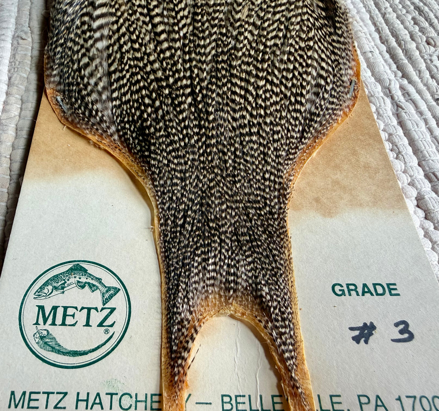 Metz Grade #3 Cape Grizzly 755-SH-E-L
