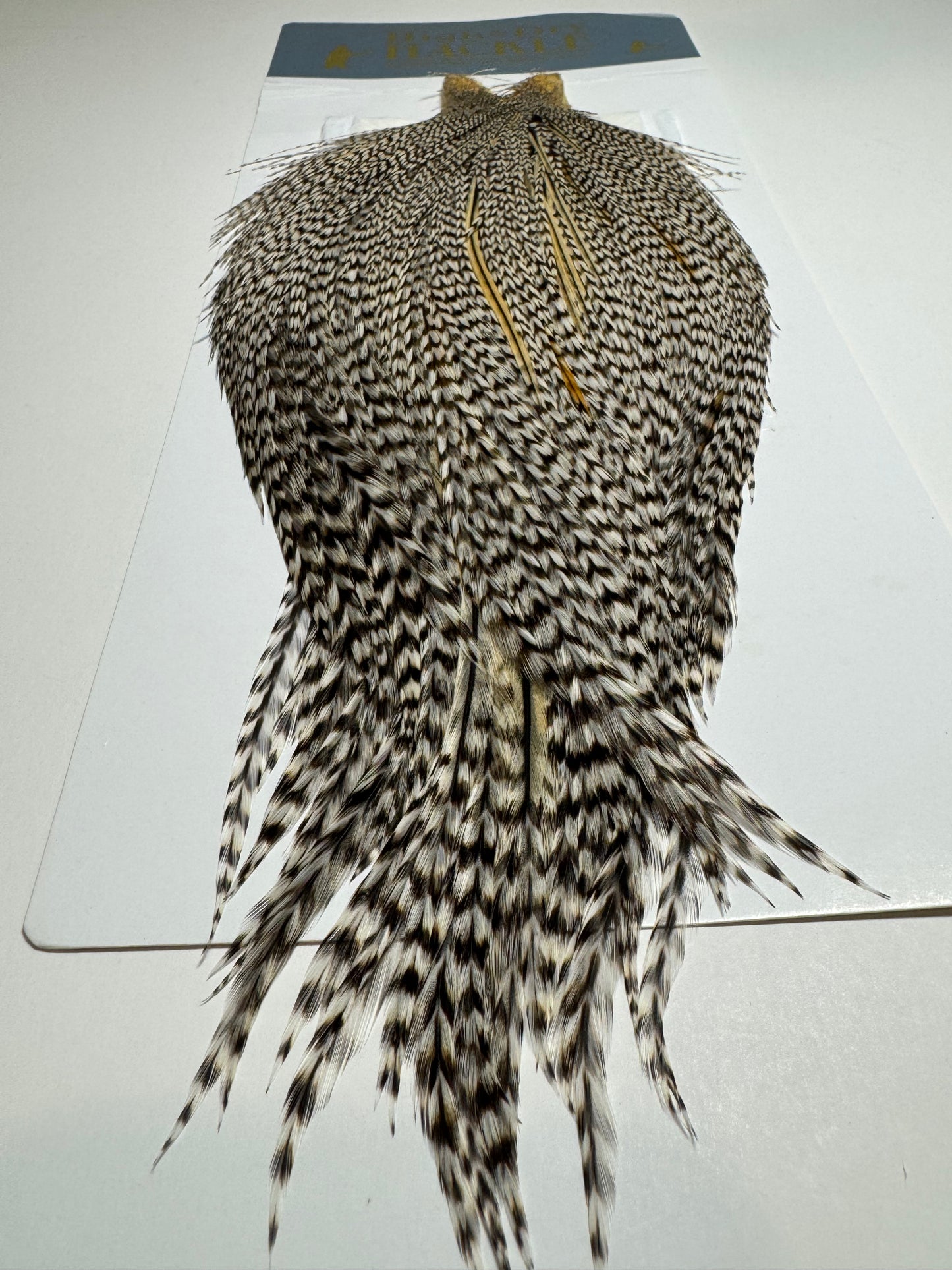 Whiting Farms Hackle Rooster Cape: Grizzly Variant SH-E-097