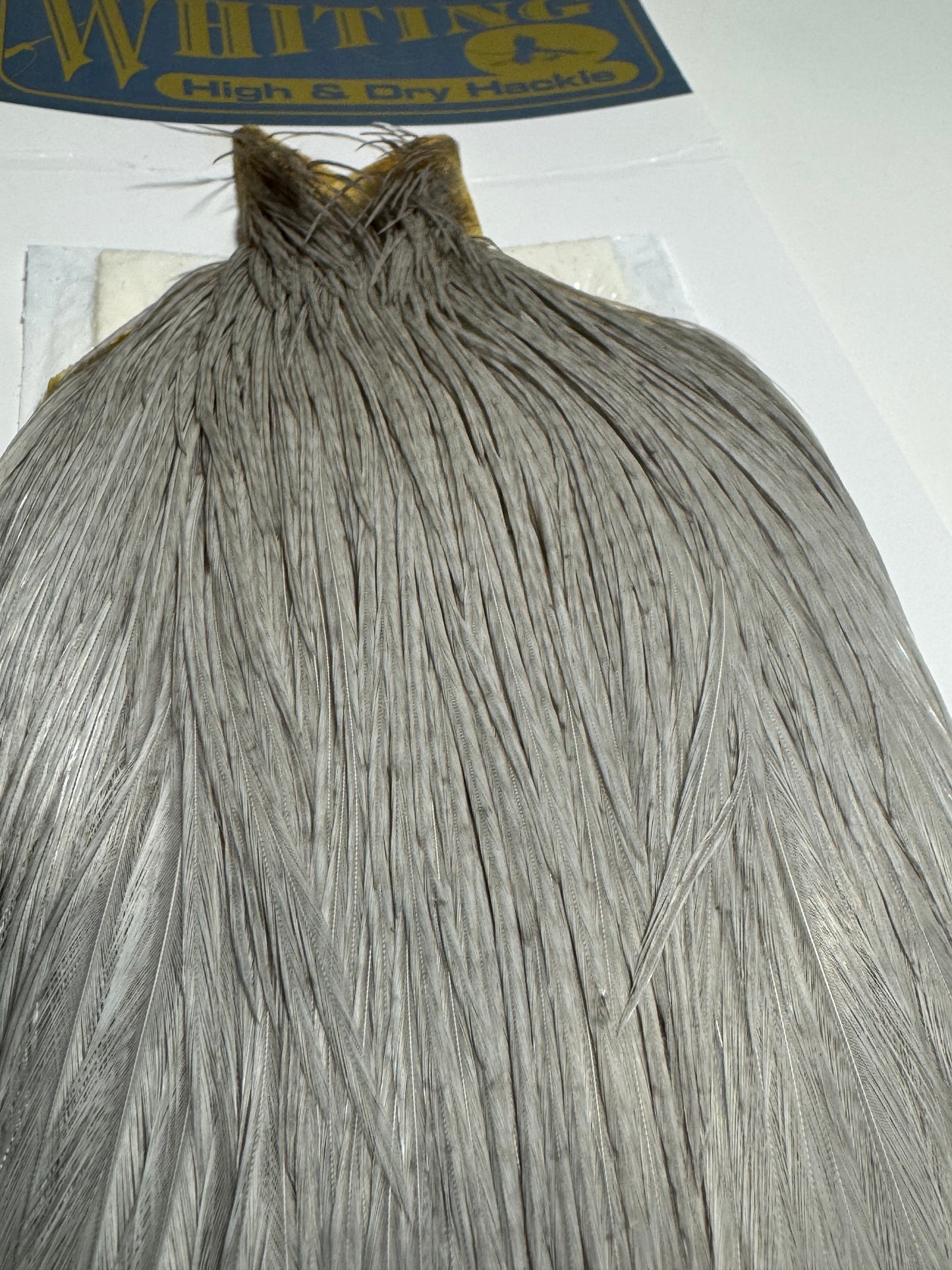 Whiting Farms Hackle Rooster Cape: White Dyed Light Dun SH-E-098