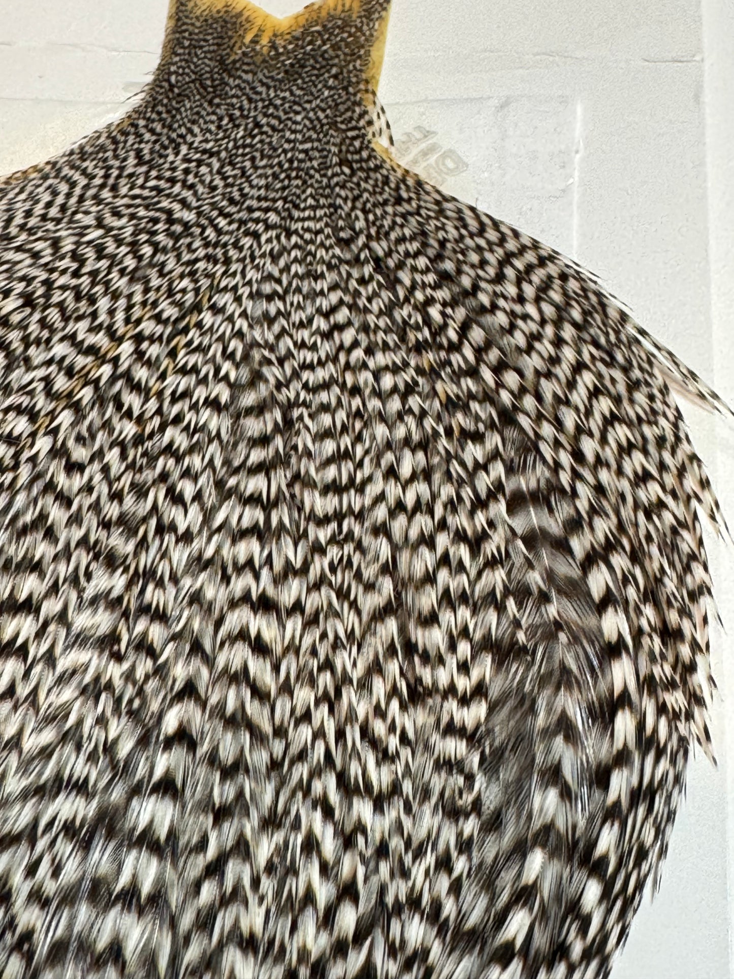 Whiting Farms High & Dry Hackle: Grizzly SH-E-100