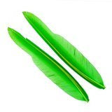 Wapsi - Duck Quill - 2 Pairs