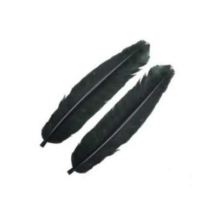 Wapsi - Ozark Turkey Quill