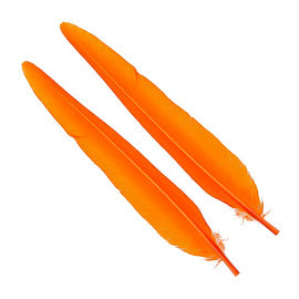 Wapsi - Duck Quill - 2 Pairs