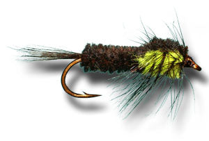 MONTANA STONEFLY