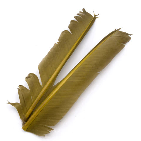 Hareline - Turkey Biot Quills