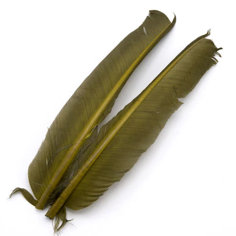 Hareline - Turkey Biot Quills
