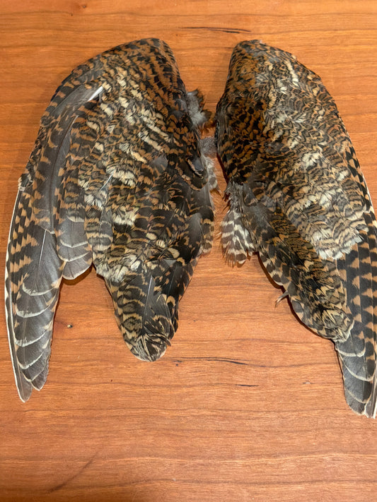 Woodcock Wings (pair)