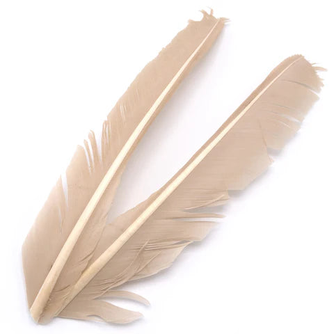 Hareline - Turkey Biot Quills