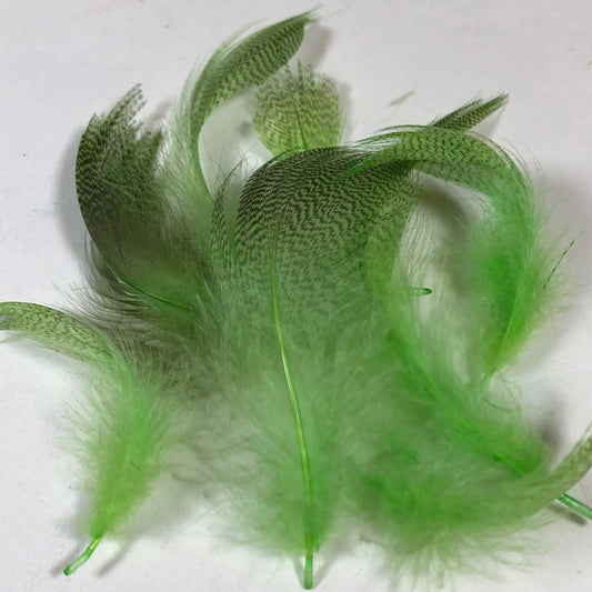 Wapsi - Mallard Barred Flank