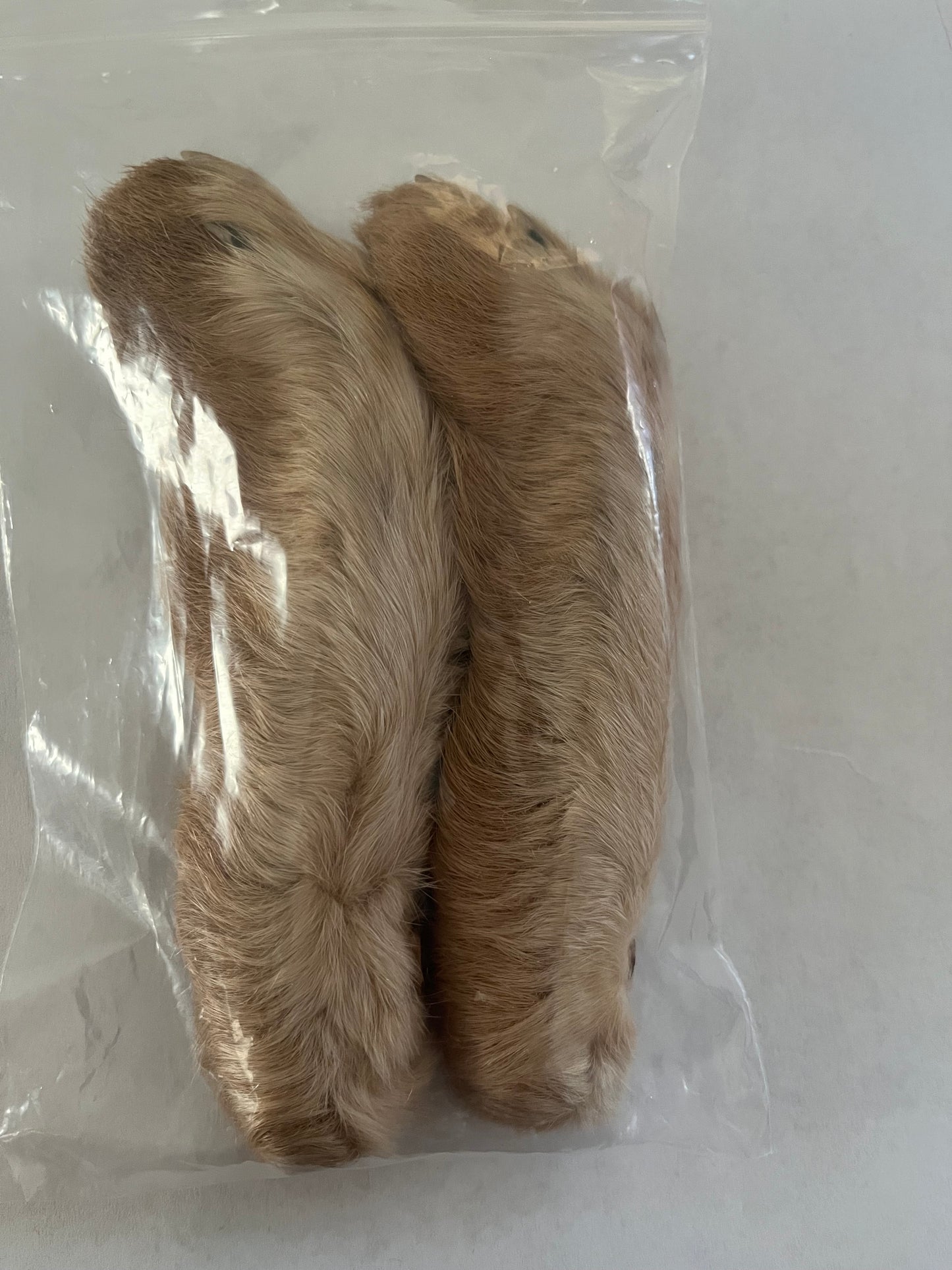 Rabbit’s Feet