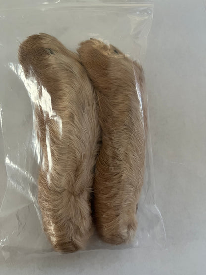 Rabbit’s Feet