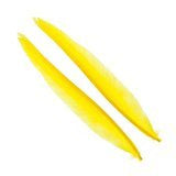 Wapsi - Duck Quill - 2 Pairs