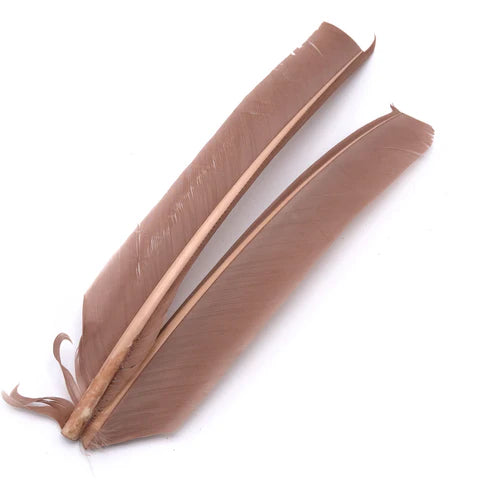 Hareline - Turkey Biot Quills