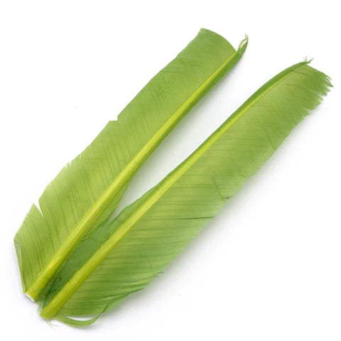 Hareline - Turkey Biot Quills
