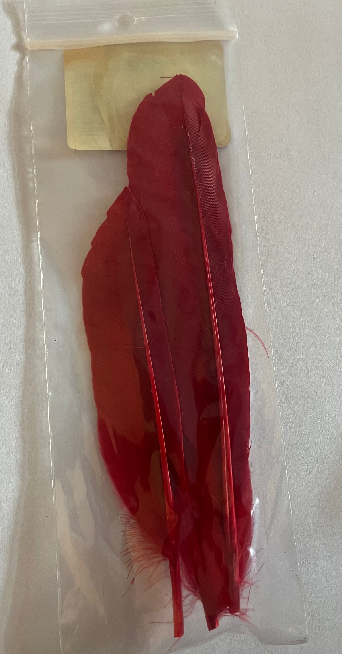 Wapsi - Duck Quill - 2 Pairs