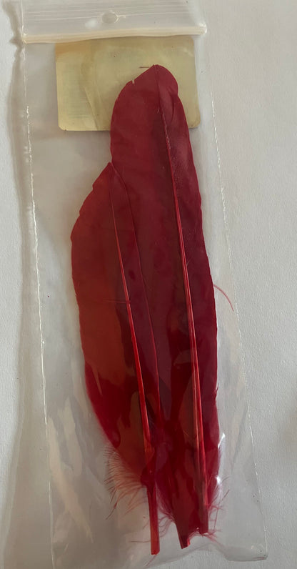 Wapsi - Duck Quill - 2 Pairs