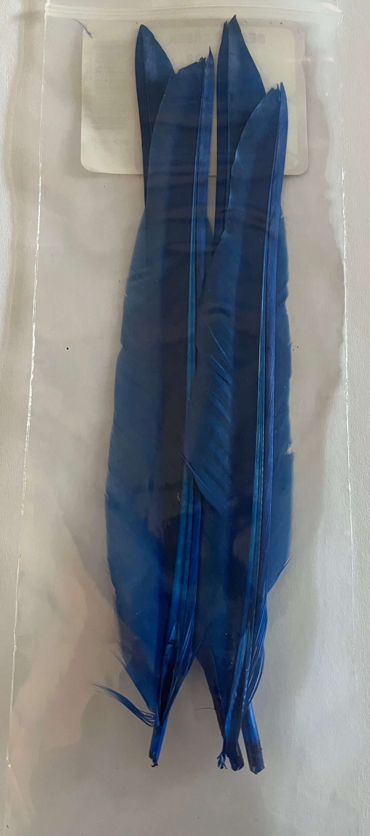 Wapsi - Duck Quill - 2 Pairs