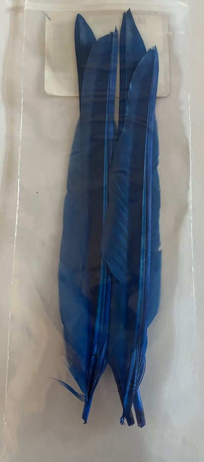 Wapsi - Duck Quill - 2 Pairs