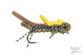 MFC Juan’s Hollywood Hopper Olive