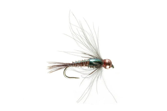 Umpqua Tungsten Bead Head CDC Flashback Pheasant Tail Nymph