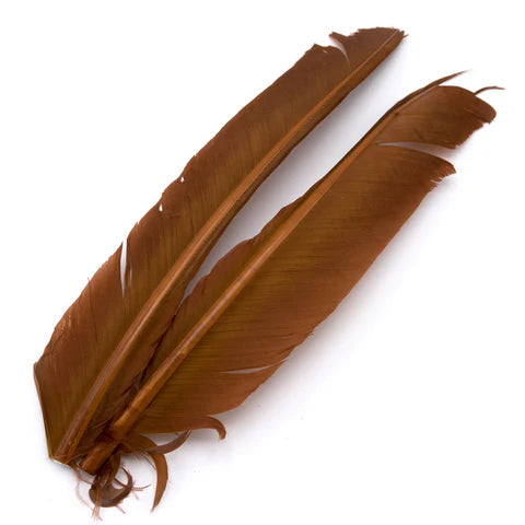 Hareline - Turkey Biot Quills