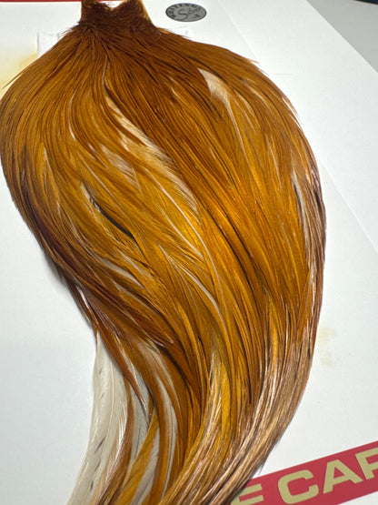 Whiting Farms SILVER Cape: Medium Ginger SH-E-053