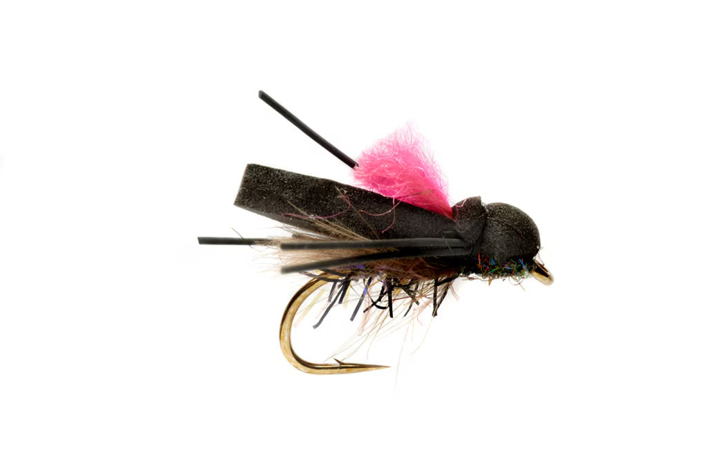 Fulling Mill Procter’s Flip Flop Pink
