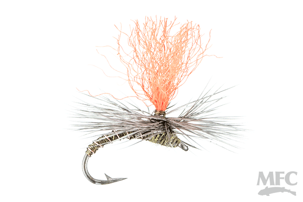 Bucky's Klinkhammer
