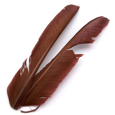 Hareline - Turkey Biot Quills