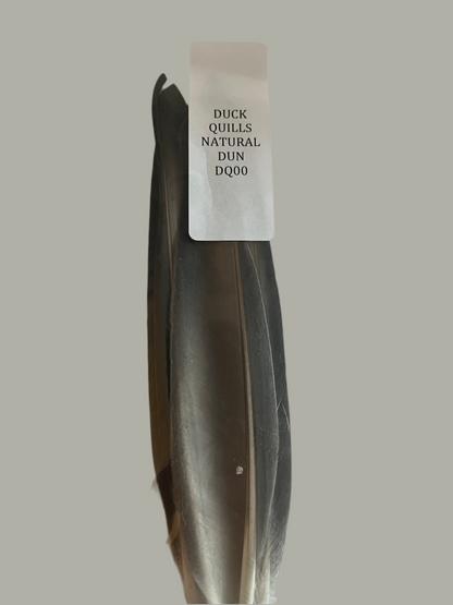 Duck Quills - Natural Dun