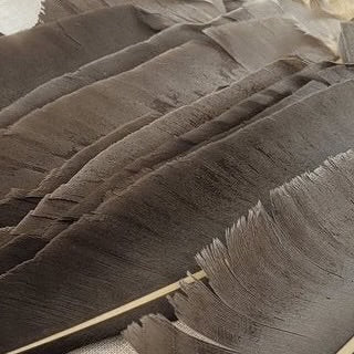 Wapsi - Goose Quill - Natural Gray