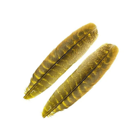 Wapsi - Ozark Turkey Quill