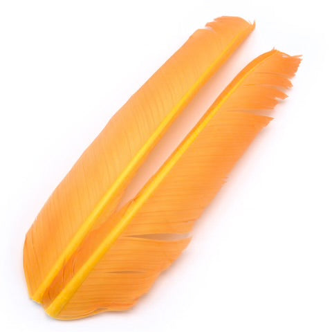 Hareline - Turkey Biot Quills