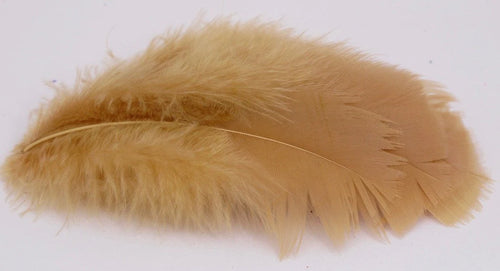 Nature’s Spirit - Turkey Flats