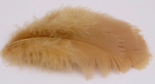 Nature’s Spirit - Turkey Flats