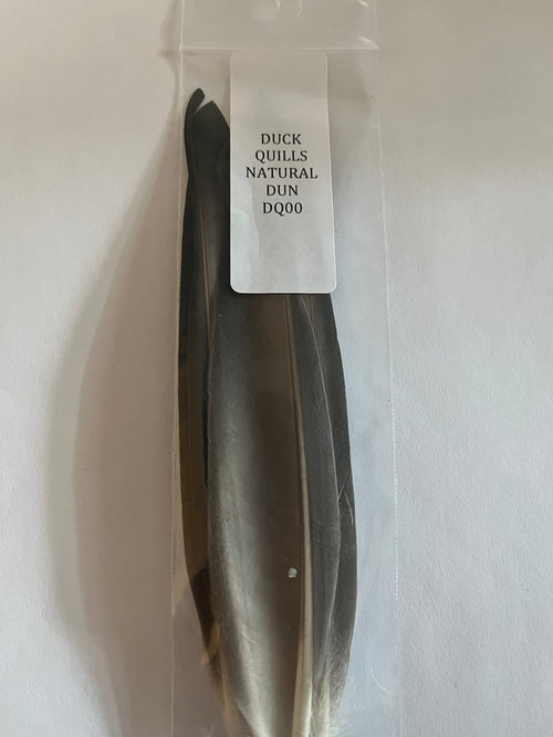 Duck Quills - Natural Dun