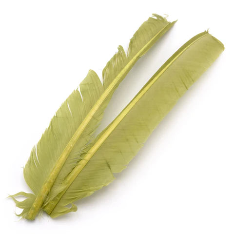 Hareline - Turkey Biot Quills