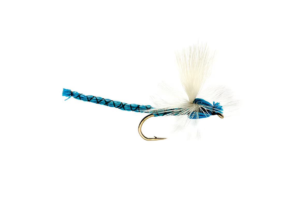 Fulling Mill Blue Damsel